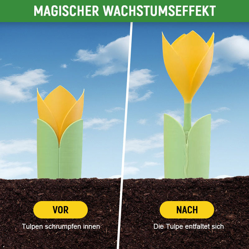 🌷Tulpenpflanzentropfer