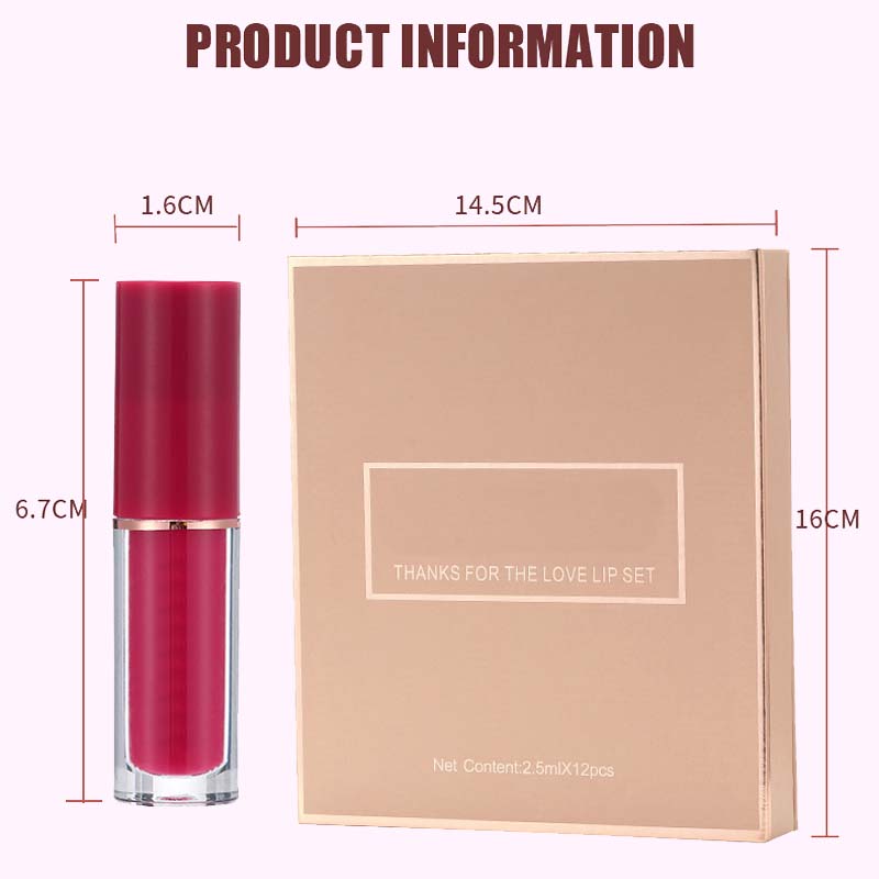 12-färgers läppglansset