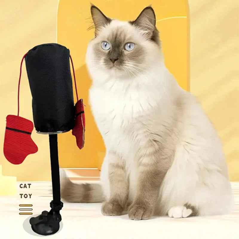Interaktiv Boksebold Til Katte