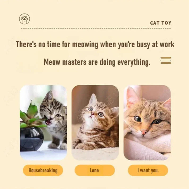 Interaktiv Boksebold Til Katte