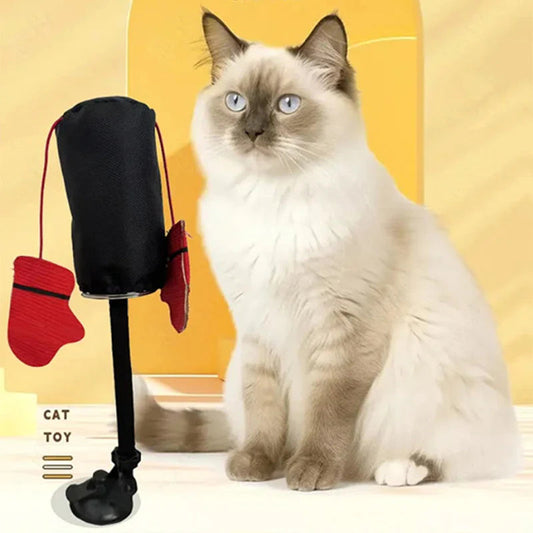 Interaktiv Boksebold Til Katte