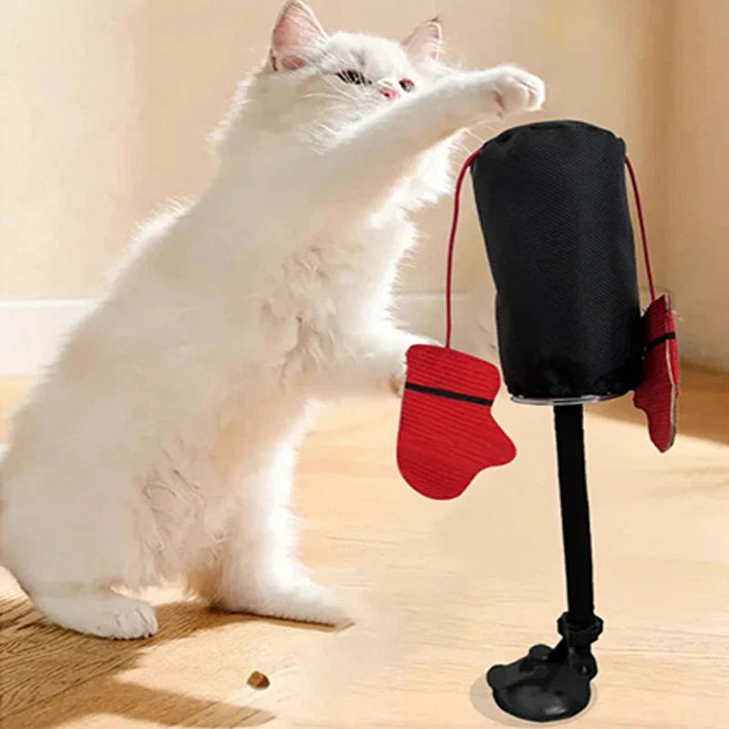 Interaktiv Boksebold Til Katte