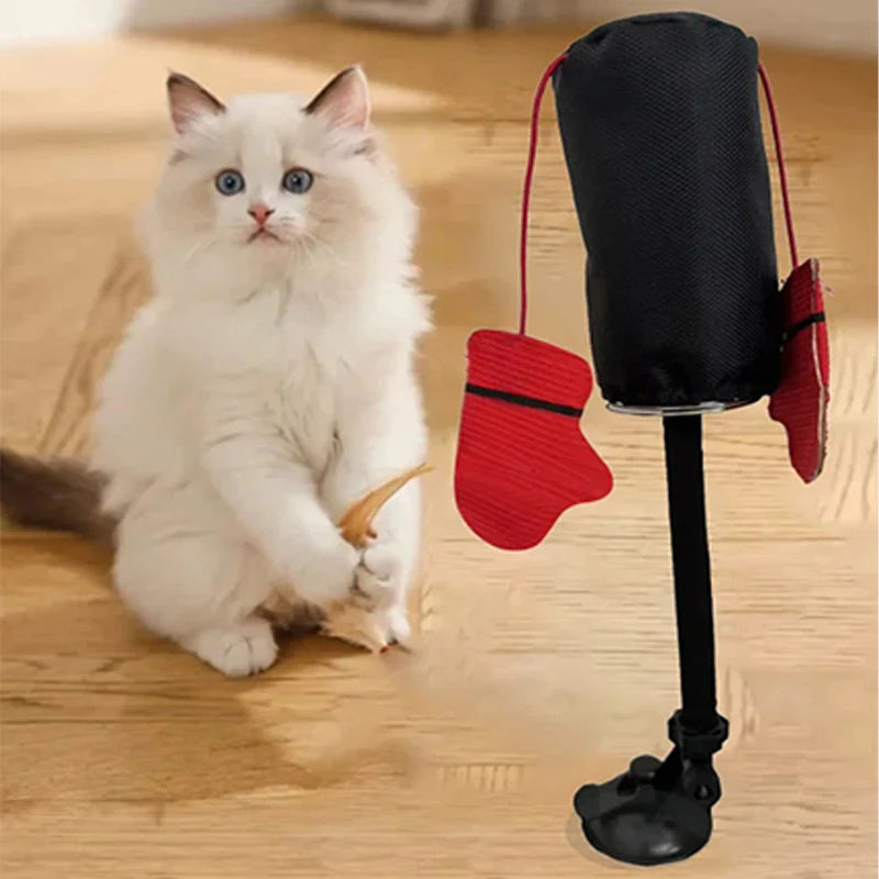 Interaktiv Boksebold Til Katte